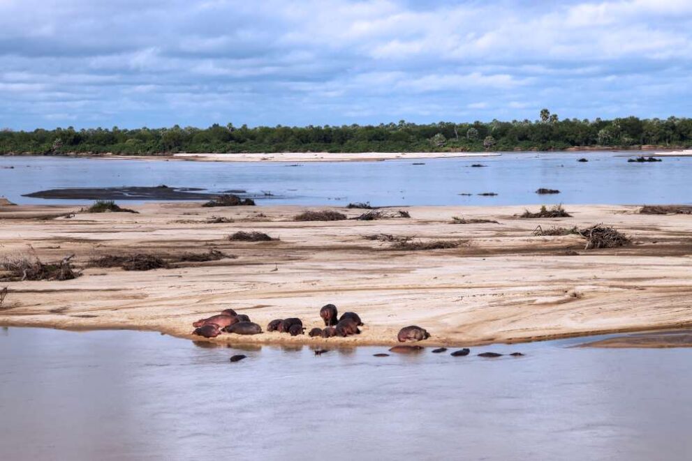 Rufiji Fluss im Nyerere Nationalpark - Selous Game Reserve