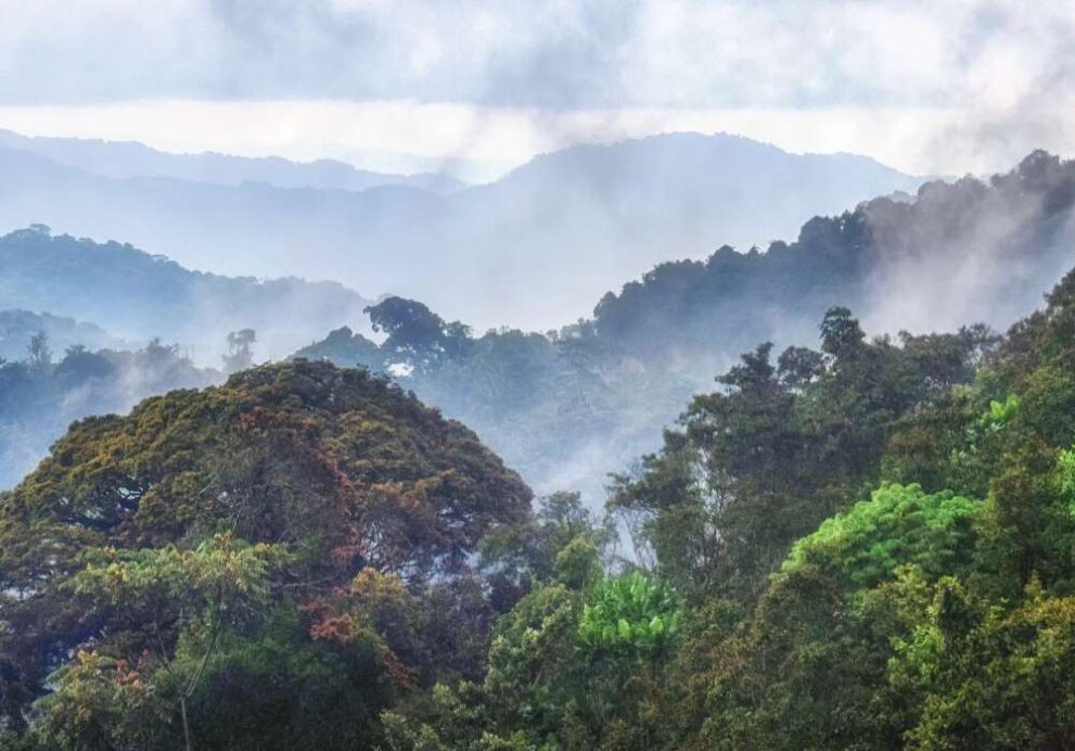 Gipfelblick vom Udzungwa Mountains Nationalpark in Tansania