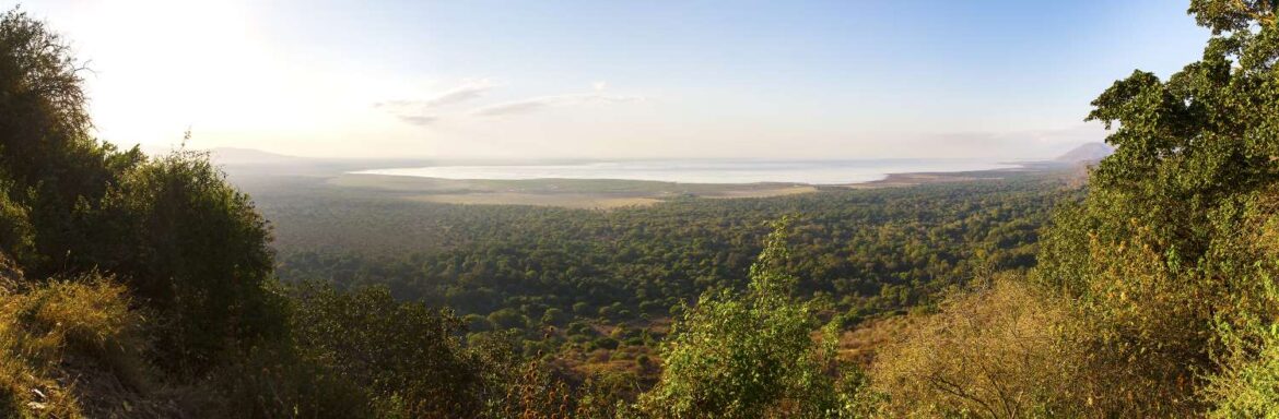 Landschaft mit See, Bäumen und Bergen am Lake Manyara Nationalpark in Tansania