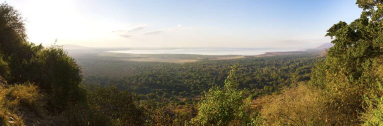 Landschaft mit See, Bäumen und Bergen am Lake Manyara Nationalpark in Tansania