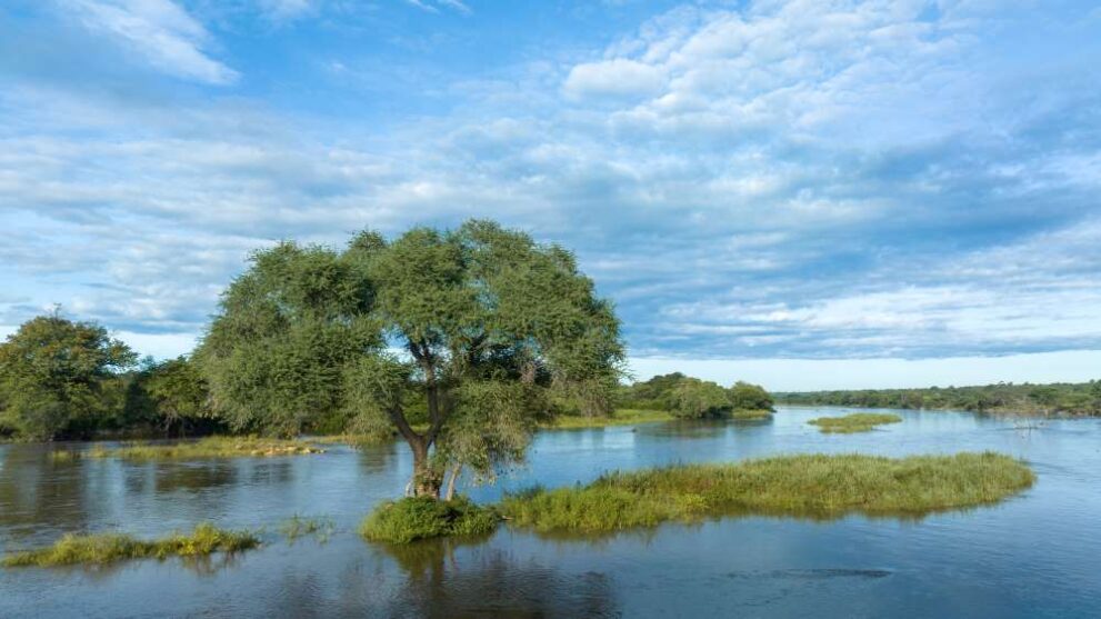 Landschaft mit Rufiji Fluss im Nyerere Nationalpark - Selous Game Reserve