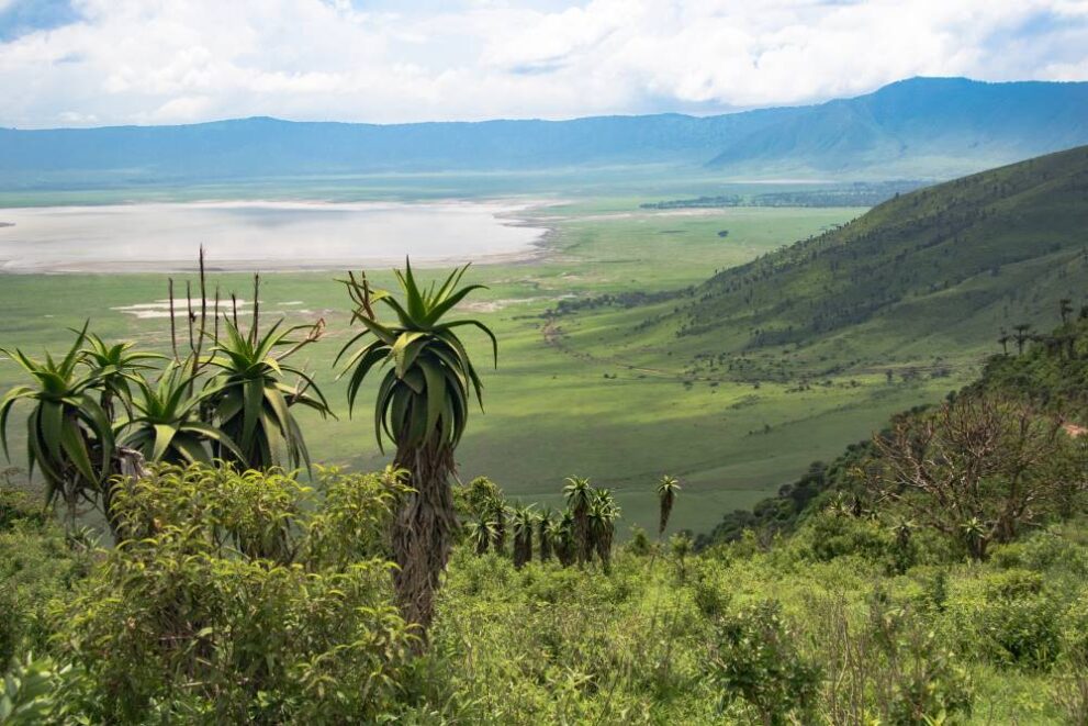 Blick auf den Magadi See im Ngorongoro Krater in Tansania