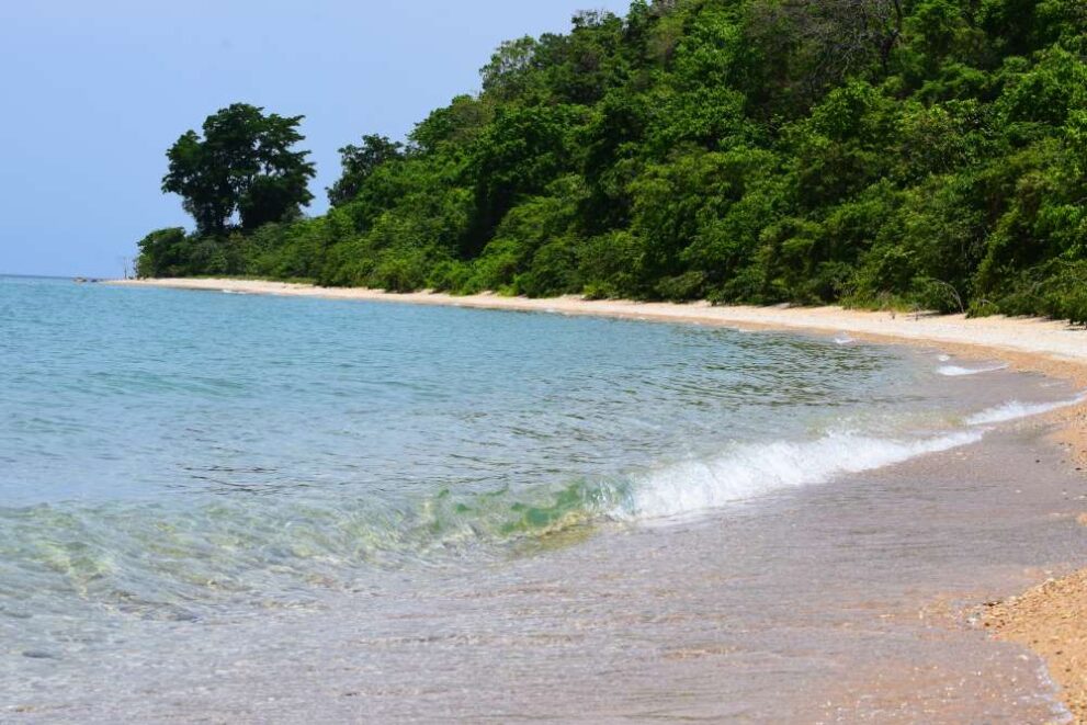 Bäume wachsen bis dicht an den Strand im Mahale Mountains Nationalpark in Tansania