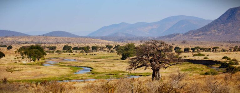 Landschaft im Ruaha Nationalpark