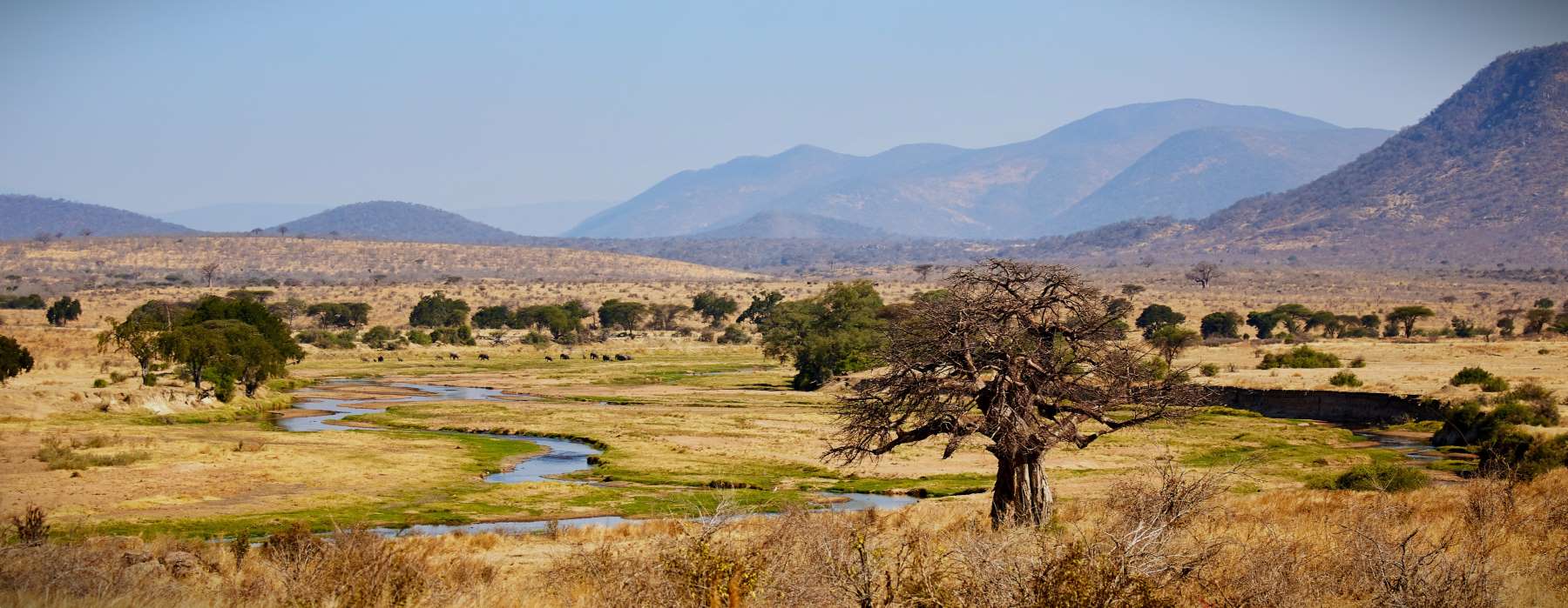Landschaft im Ruaha Nationalpark