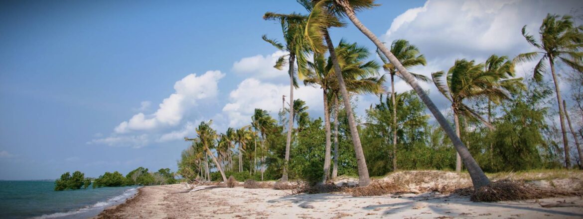 Strand mit Plamen am Saadani Nationalparks in Tansania