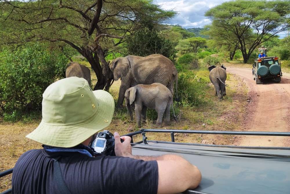 Mann fotografiert bei einer Safari Elefanten im Lake Manyara Nationalpark in Tansania