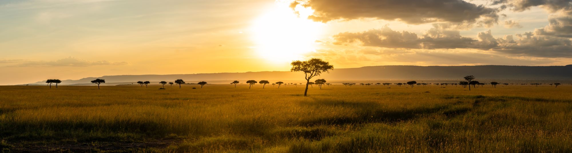 Landschaft des Serengeti Nationalparks in Tansania