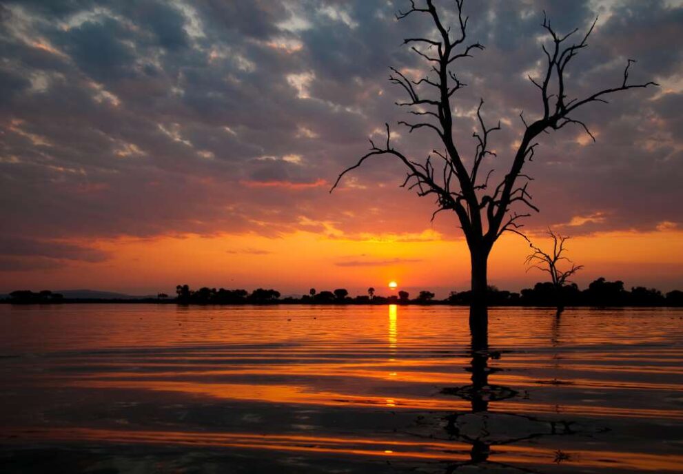Sonnenuntergang am Lake Manze im Nyerere Nationalpark - Selous Game Reserve