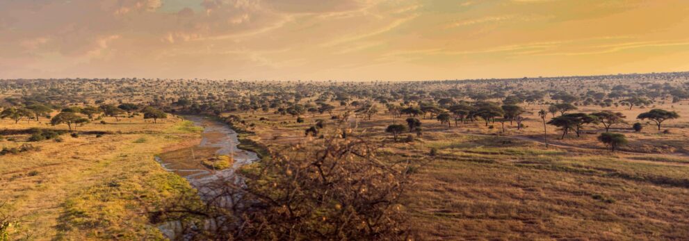 Luftbild von oben auf den Tarangire Fluss im Tarangire Nationalpark in Tansania