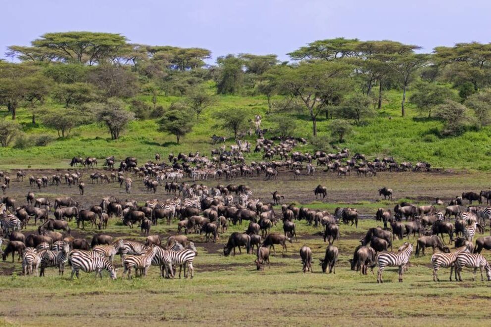 Ndutut Region in der Serengeti