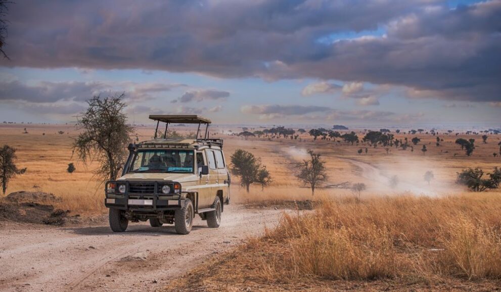 Jeep auf einer Serengeti Safari in der Trockenzeit