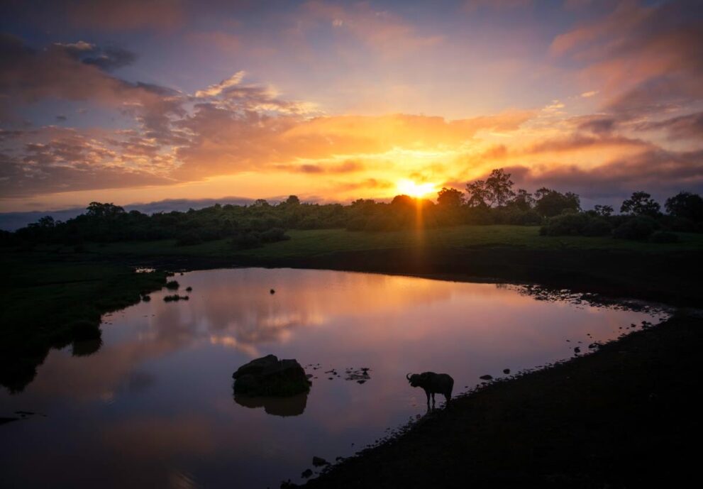 Sonnenuntergang im Aberdare Nationalpark in Kenia