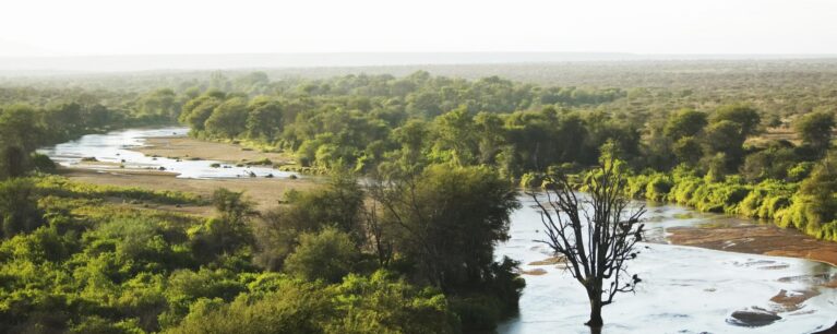 Landschaft Lewa Wildlife Conservancy