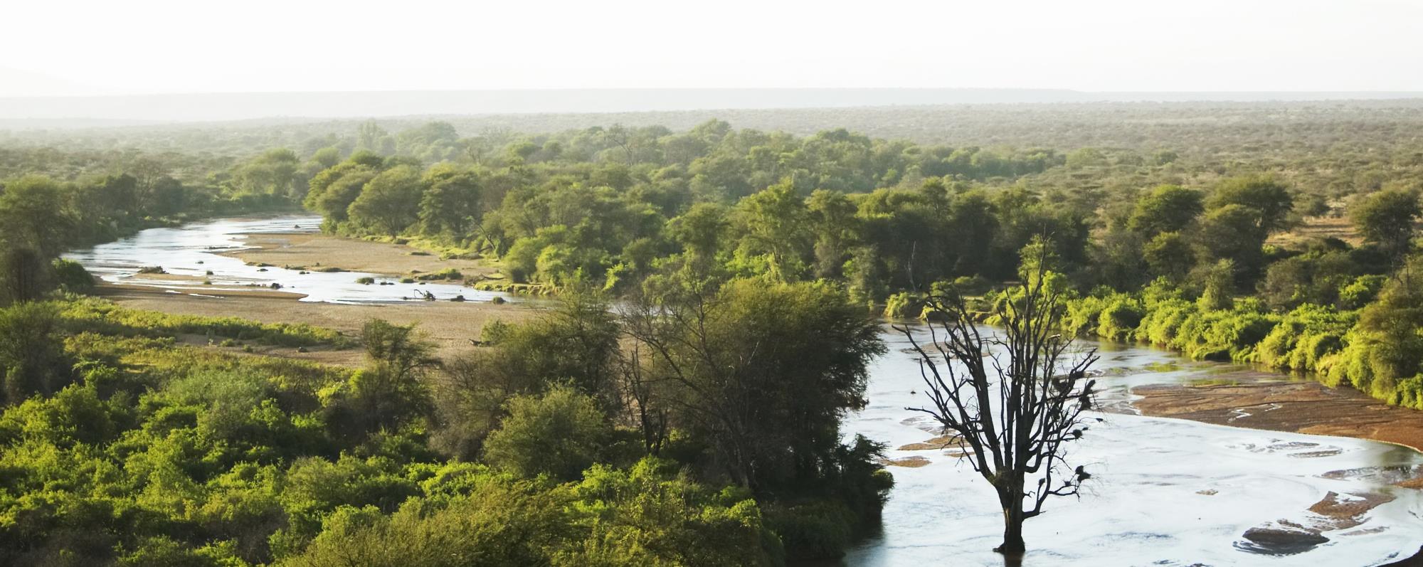 Landschaft Lewa Wildlife Conservancy