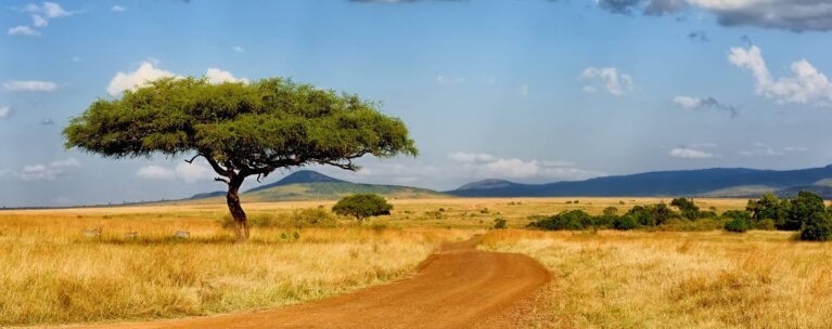 Landschaft Meru Nationalpark in Kenia