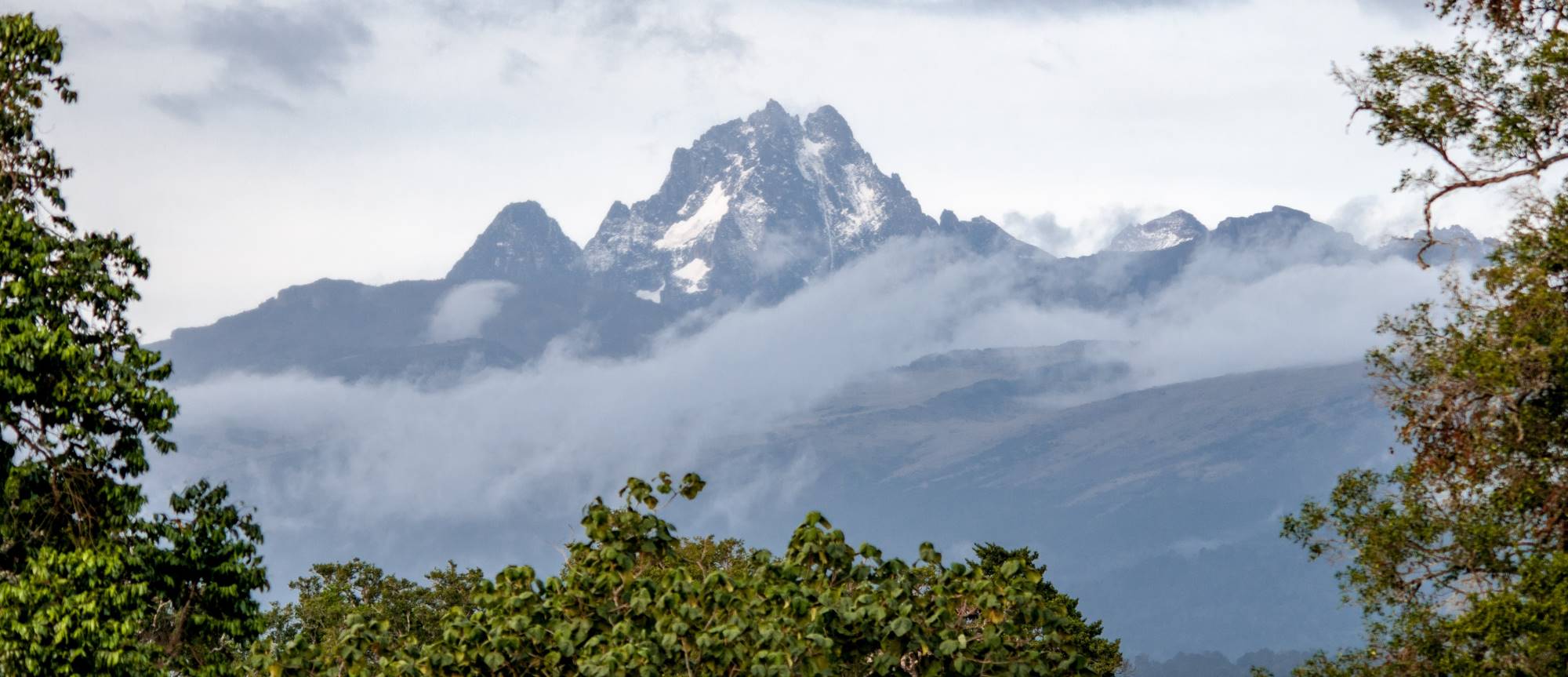 Mount Kenya Panorama mit Wald im Vordergrund