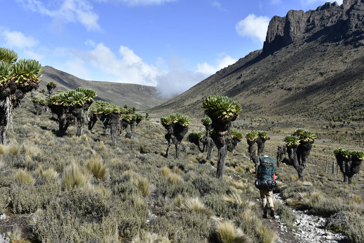 Trekkingtour am Mount Kenya