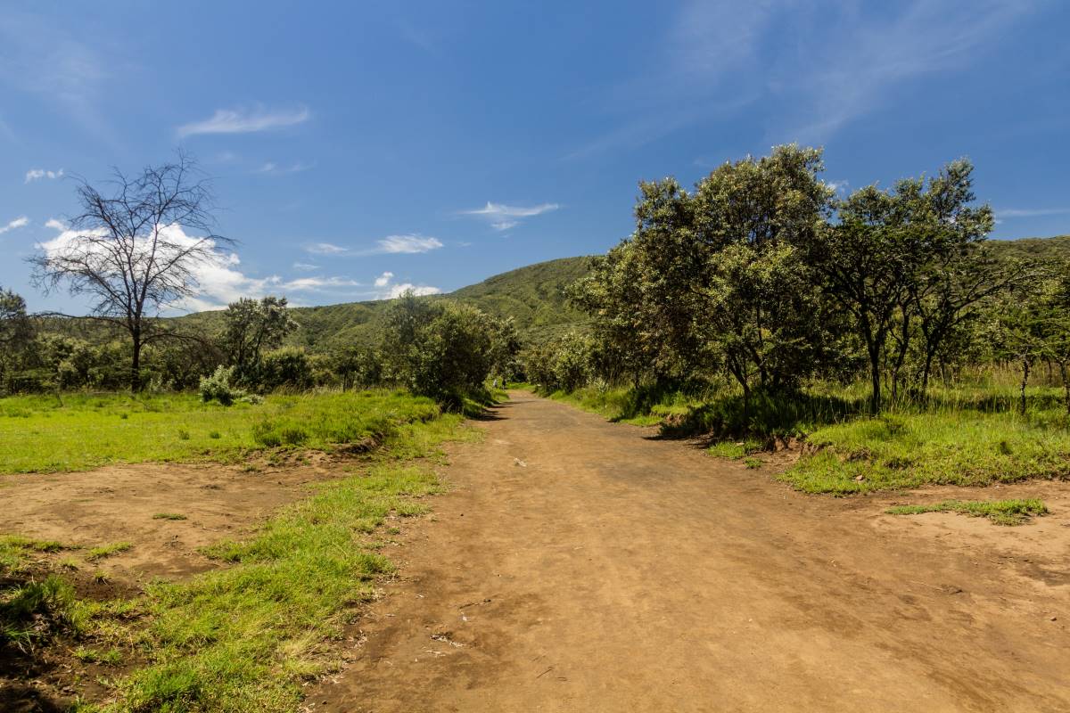 Straße im Mount Longonot Nationalpark in Kenia
