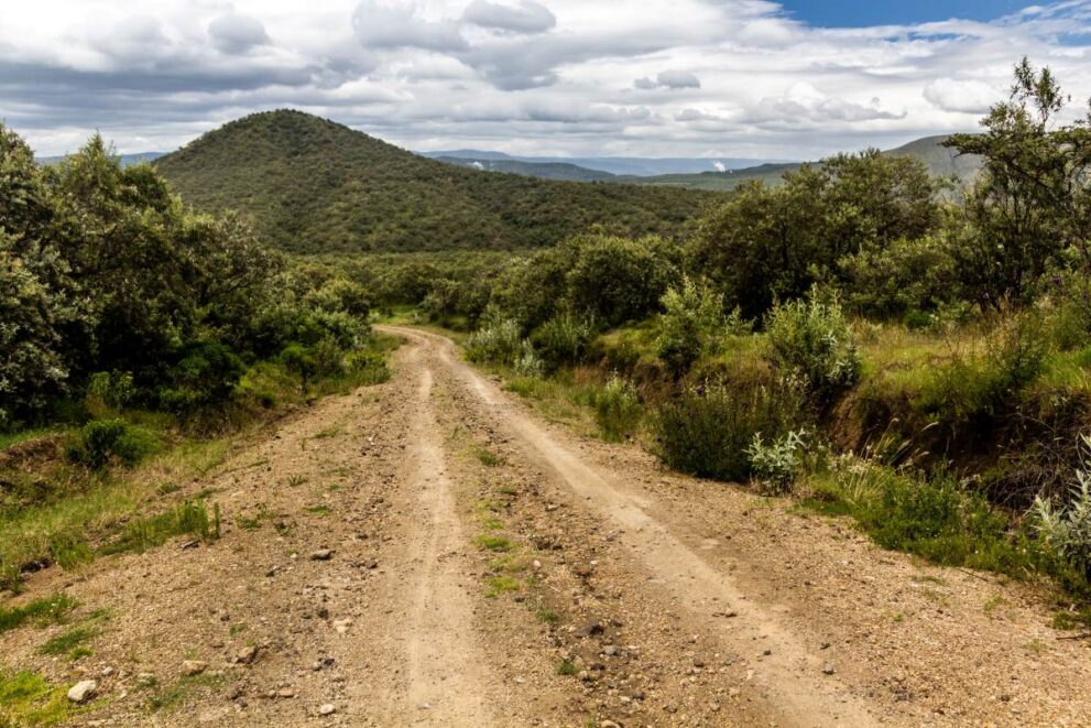 Safaristraße im Hells Gate Nationalpark
