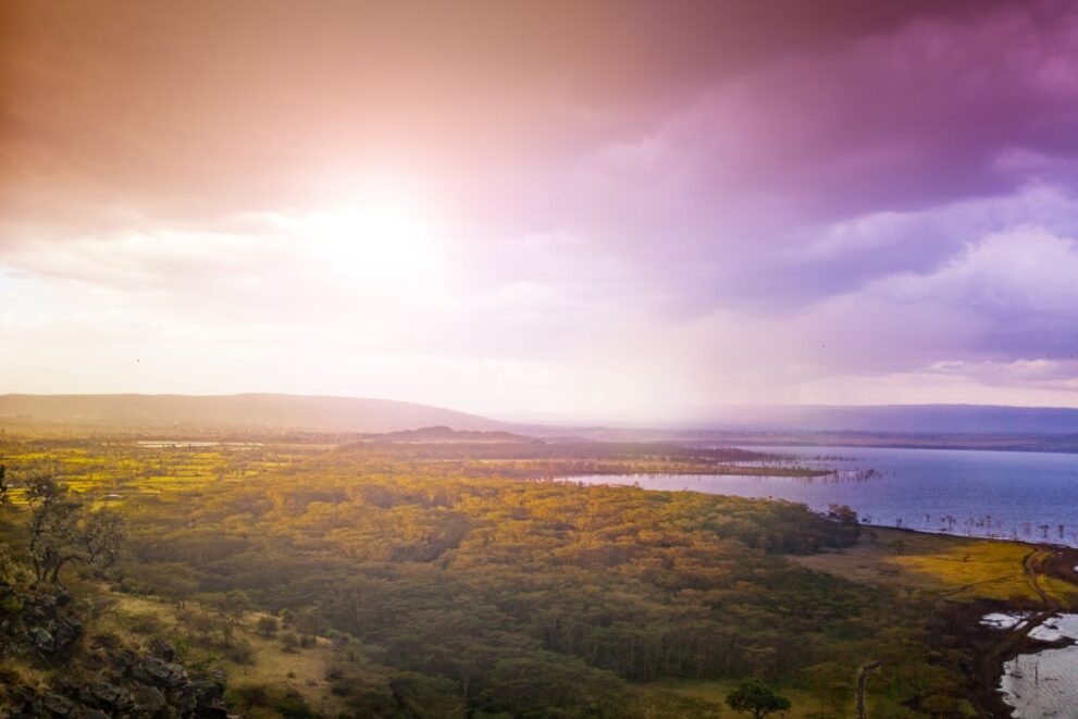 Luftaufnahme mit Seeufer vom Lake Nakuru
