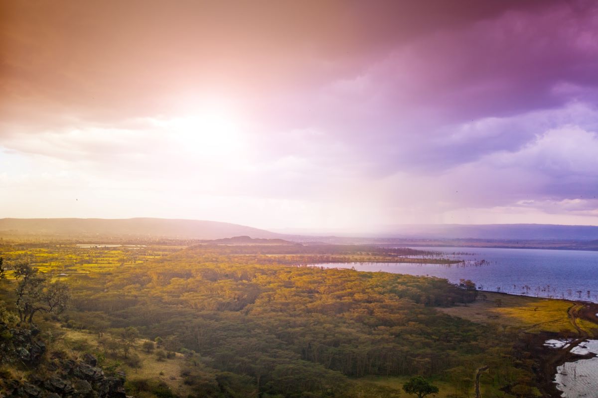 Luftaufnahme mit Seeufer vom Lake Nakuru