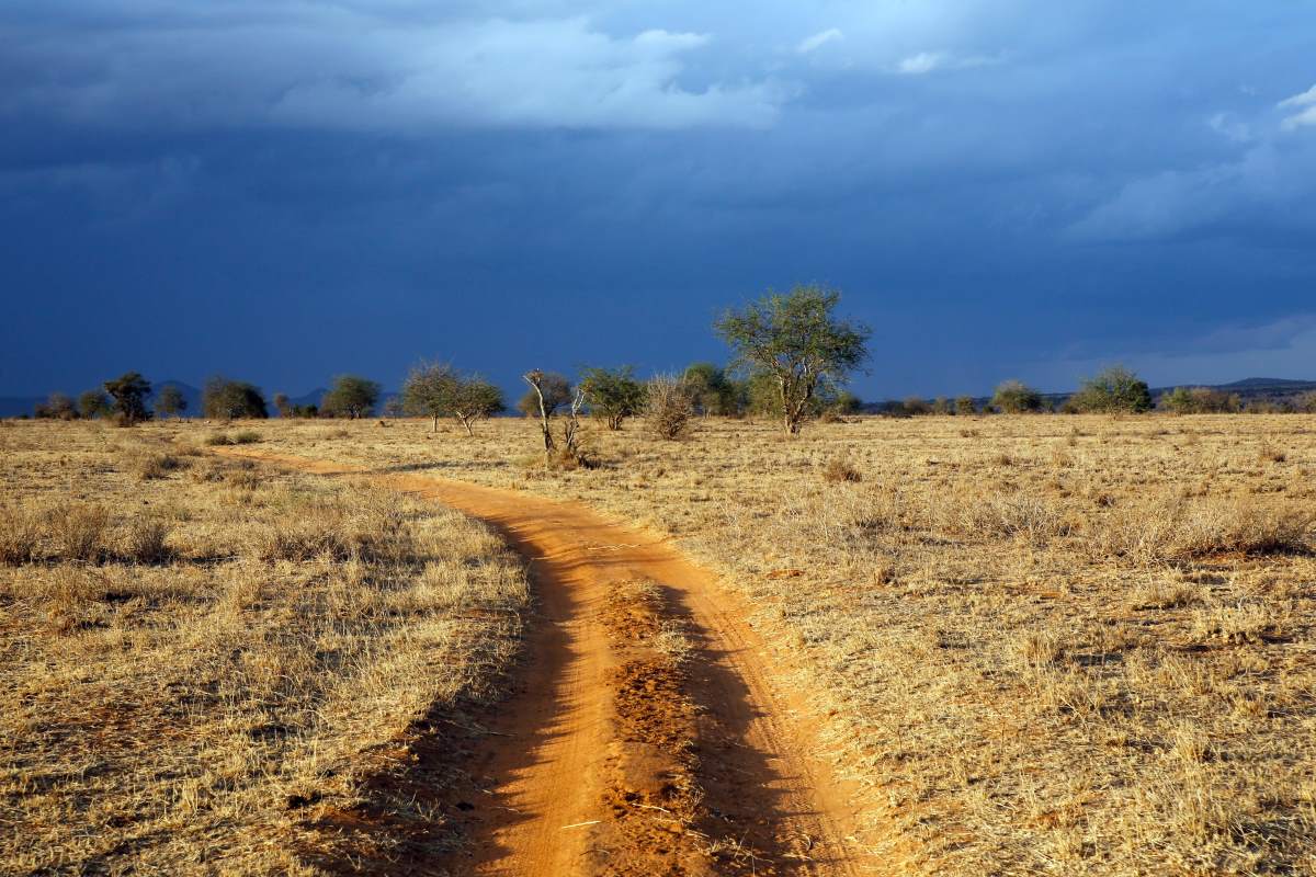 Straße in der Trockenzeit im Taita Hills Reservat