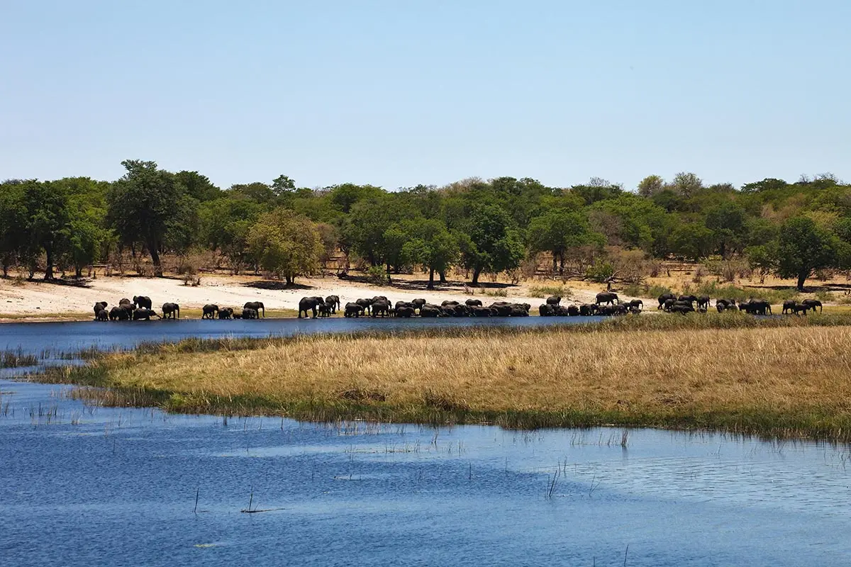 Wasserloch mit Elefanten im Bwabwata Nationalpark.