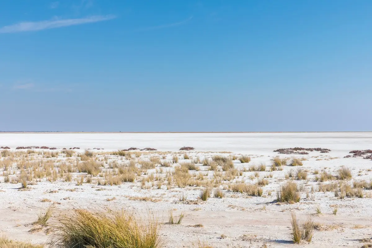 Die Salzpfanne im Etosha Nationalpark vor blauem Himmel.