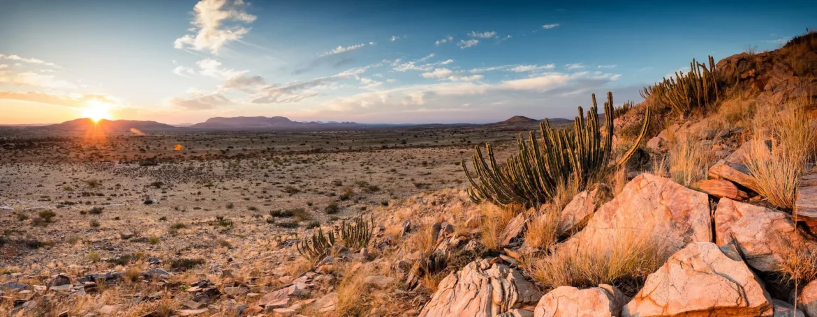 Eine karge Landschaft in der Kalahari Wüste.