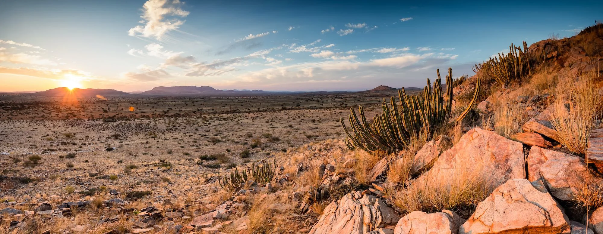 Eine karge Landschaft in der Kalahari Wüste.
