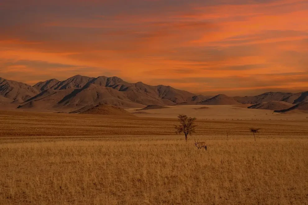 Das Namib-Naukluft Gebirge im Sonnenuntergang.