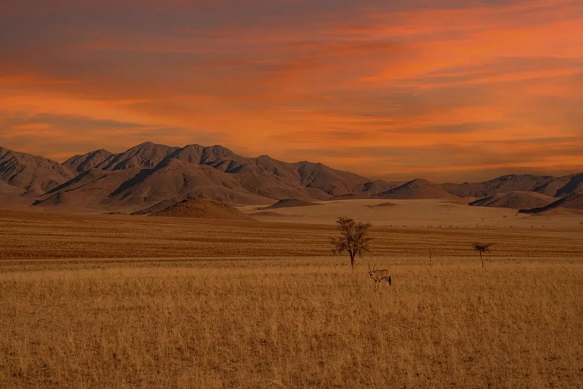 Das Namib-Naukluft Gebirge im Sonnenuntergang.