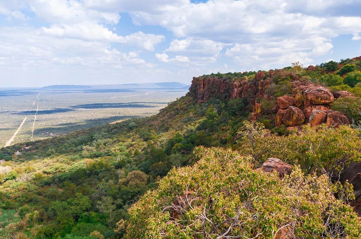 Eine Aussicht vom Waterberg Plateau auf die umliegende grüne Landschaft.