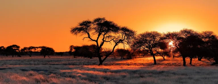 Sonnenuntergang im Central Kalahari Game Reserve.