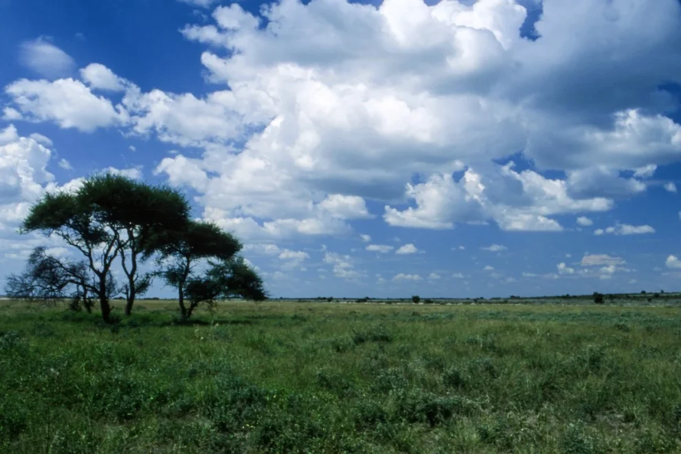 Passarge Valley im Central Kalahari Game Reserve.