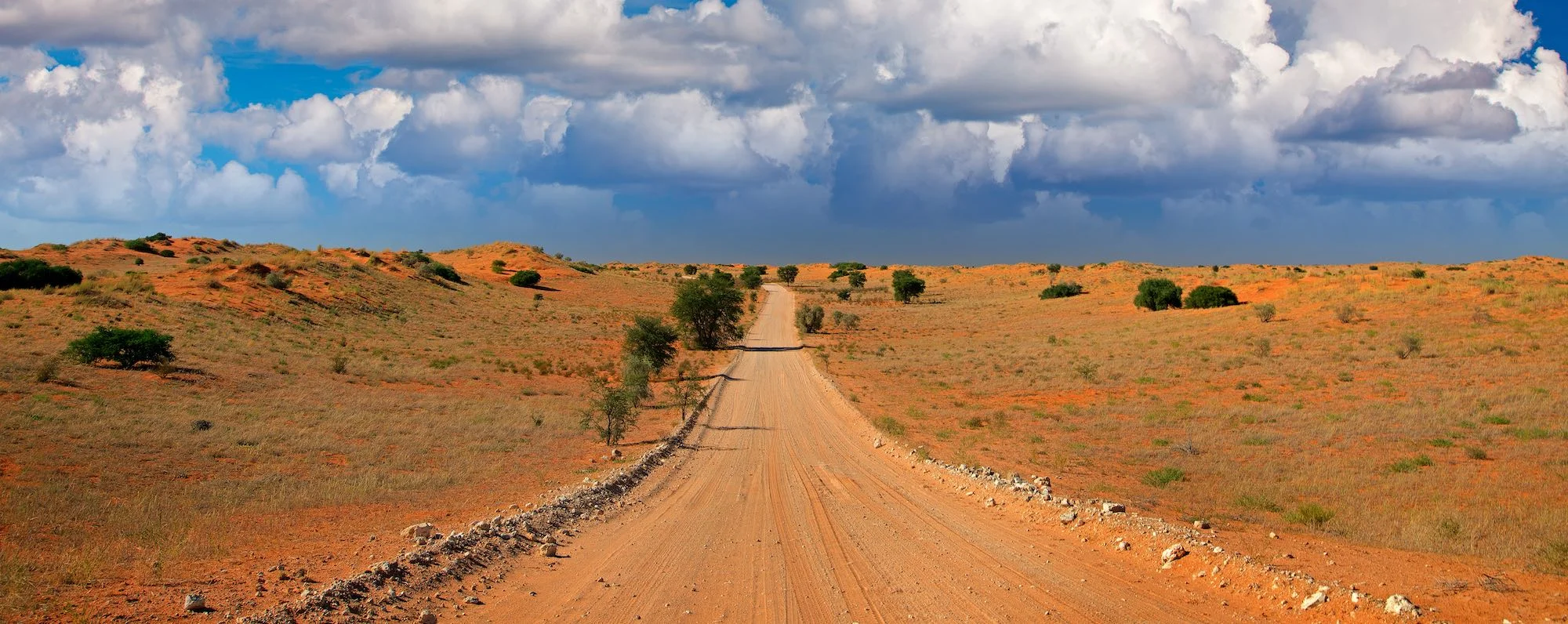 Straße in trockener Landschaft im Kgalagadi Transfrontier Nationalpark.
