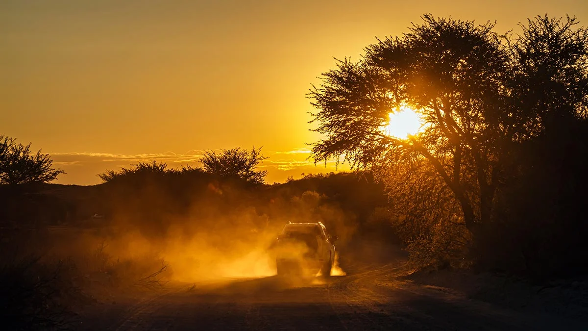 Kgalagadi Transfrontier Nationalpark im Sonnenuntergang.