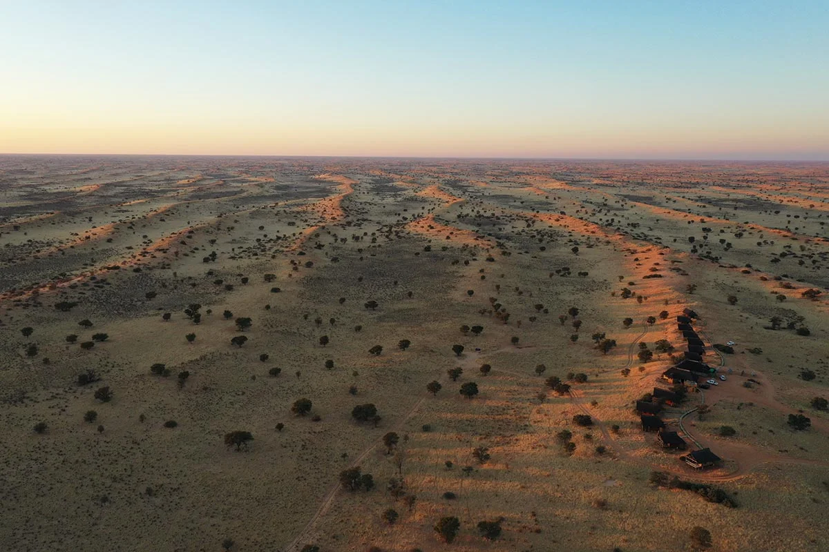 Trockende Landschaft im Kgalagadi Transfrontier Nationalpark von oben.