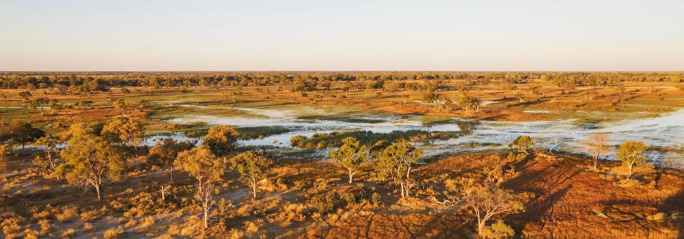 Landschaft mit Fluss im Moremi Game Reserve.