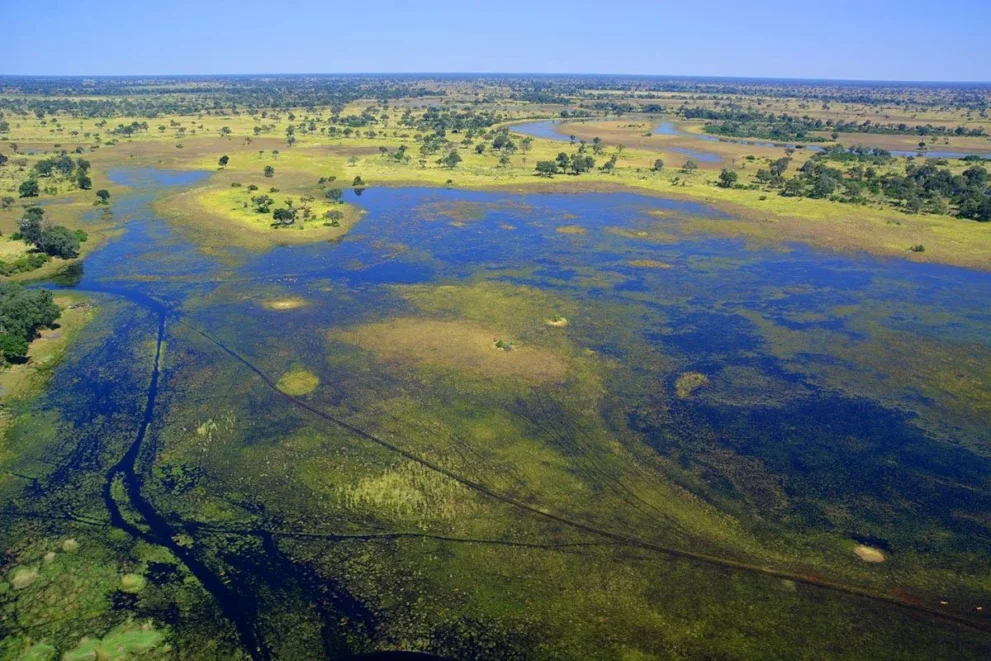 Fluss von oben im Moremi Game Reserve.