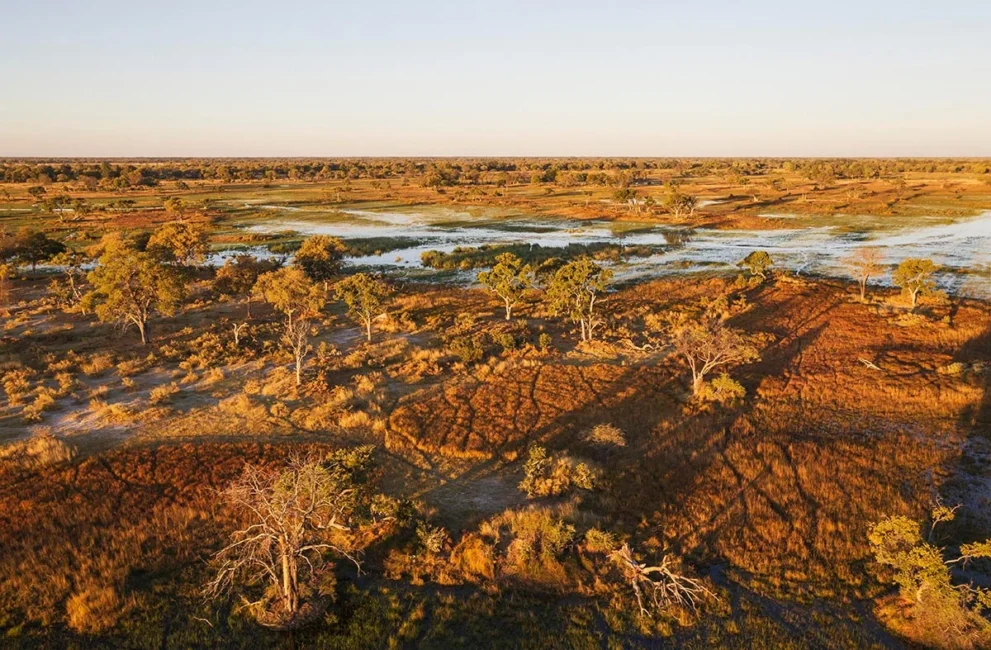 Landschaft mit Fluss im Moremi Game Reserve.