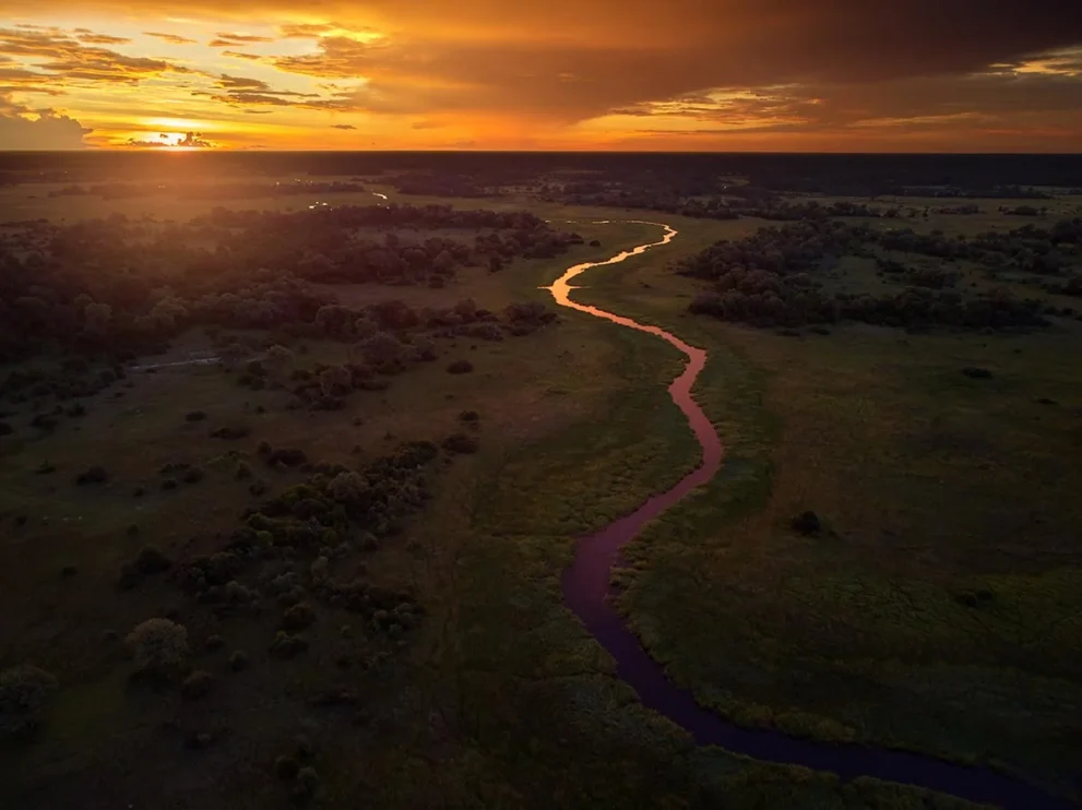 Okavango im Sonnenuntergang im Moremi Game Reserve.