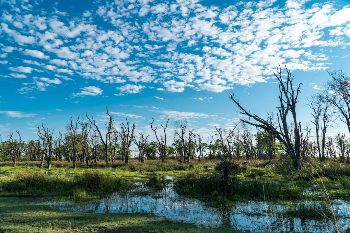 Paradise Pools im Moremi Game Reserve.