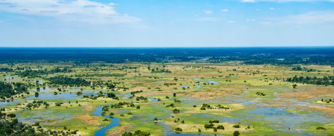 Blick von oben auf das Okavango Delta.