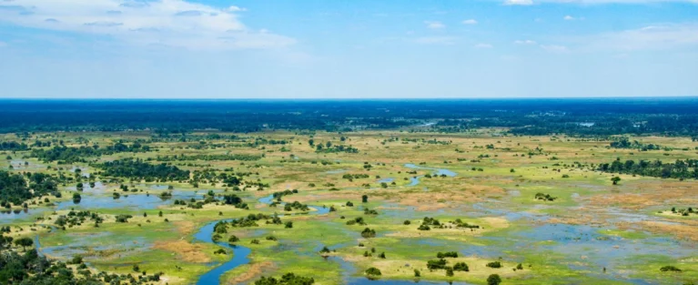 Blick von oben auf das Okavango Delta.