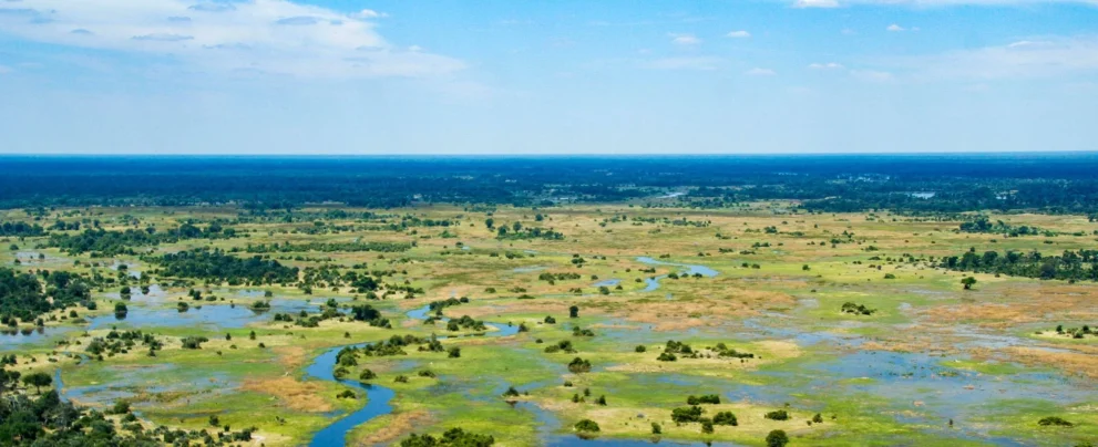 Blick von oben auf das Okavango Delta.