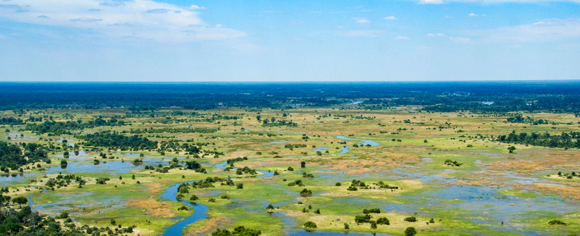Blick von oben auf das Okavango Delta.