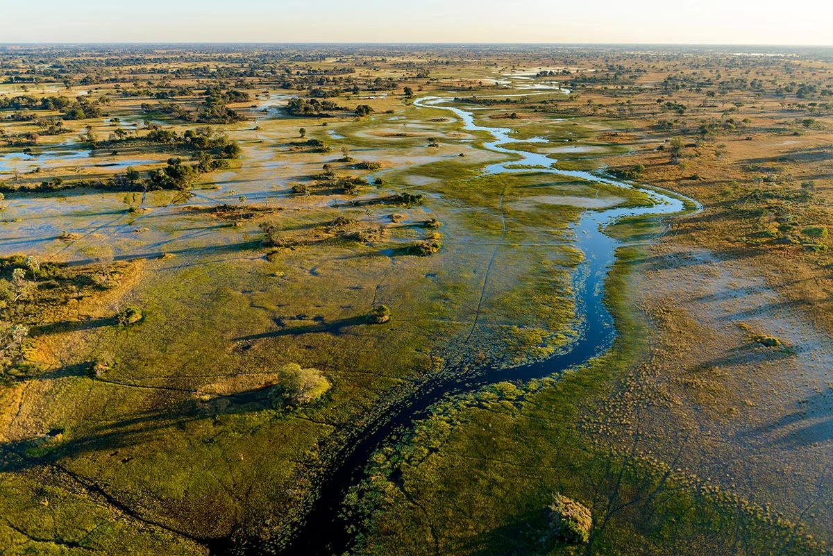 Flusslandschaft und Savanne im Okavango Delta.