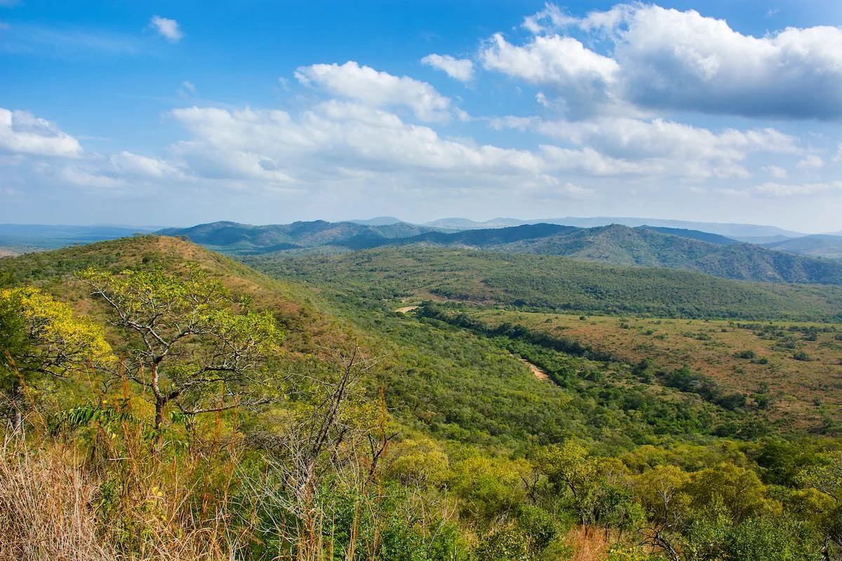 Panorama über Wälder im Hluhluwe iMfolozi Nationalpark.